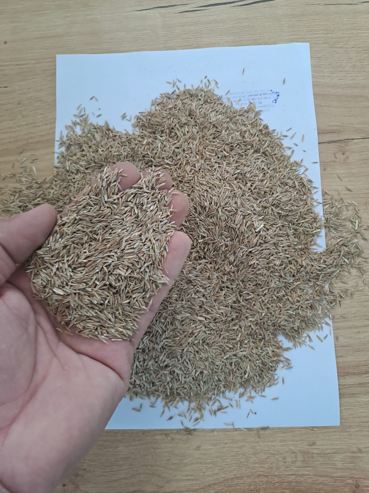 İthal Çim Tohumu 5 Karışımlı-1 KG