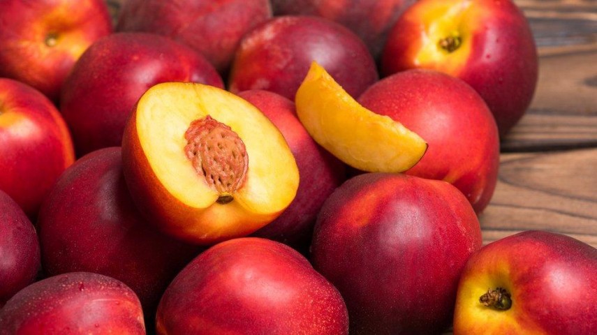 3 Yaş Bigtop Nektarin Fidanı