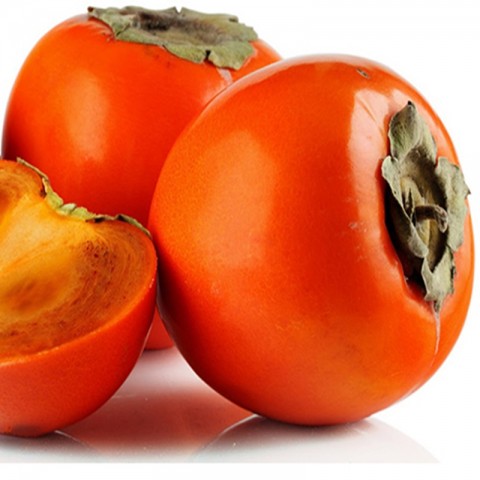 6 Yaş Hachıya Trazbzon Hurması Fidanı